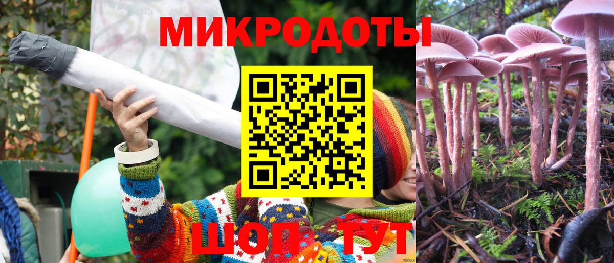 Галлюциногенные грибы прущие грибы  Вход с VPN  Домодедово 